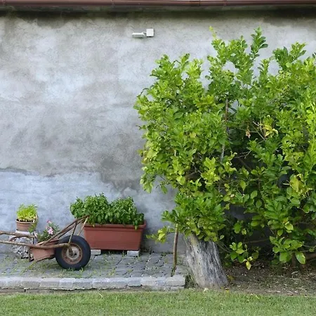 Base *